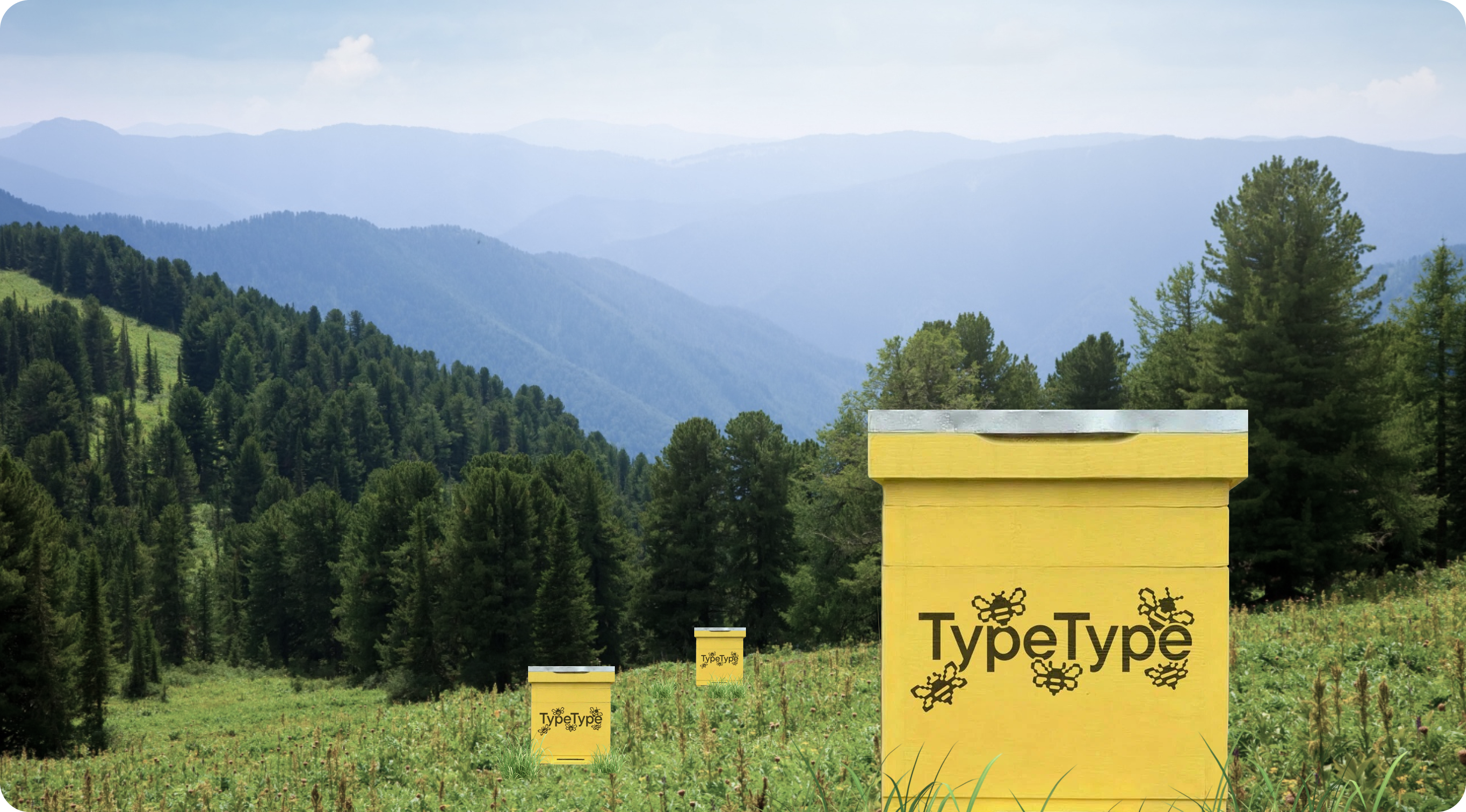 TypeType