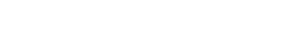top_banner_basettnormspro