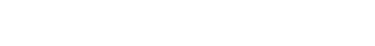 top_banner_basettnormspro