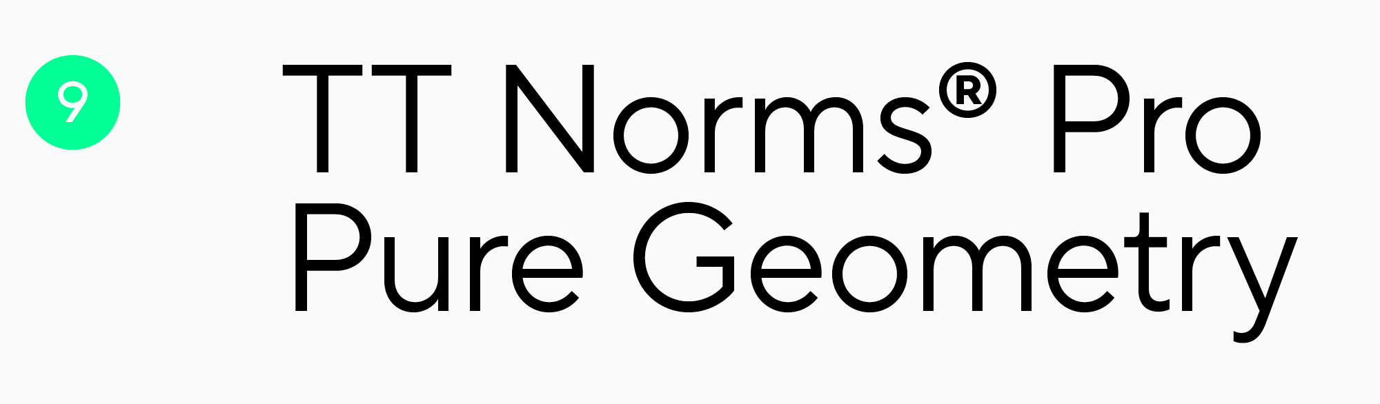 TT Norms Pro шрифт для заголовка плаката