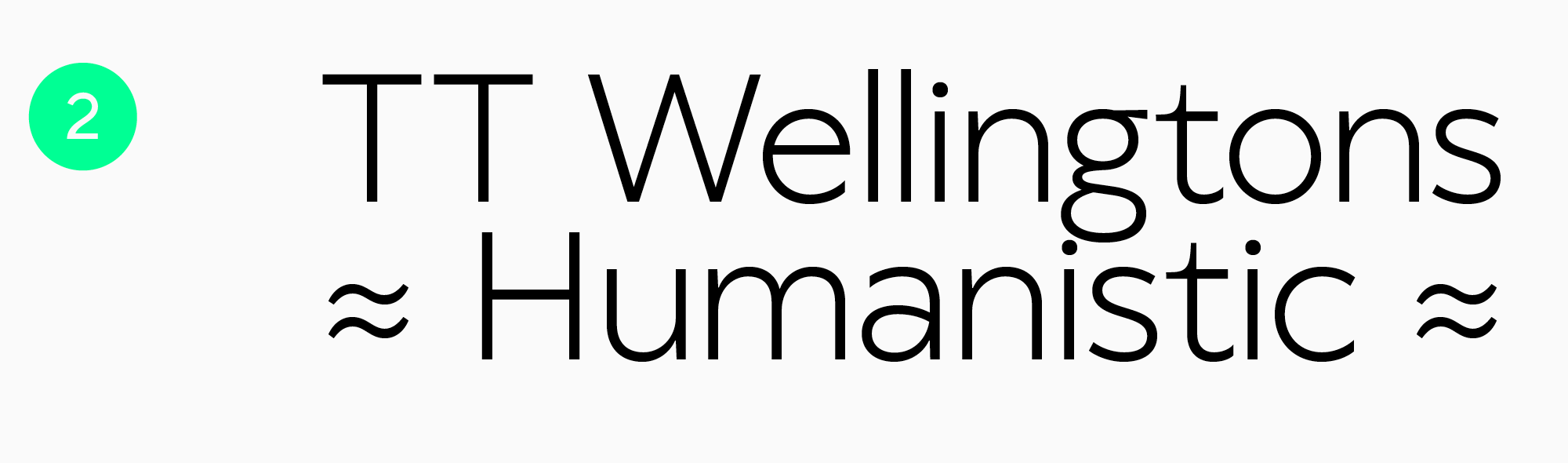 самый лучший шрифт для чтения
TT&nbsp;Wellingtons