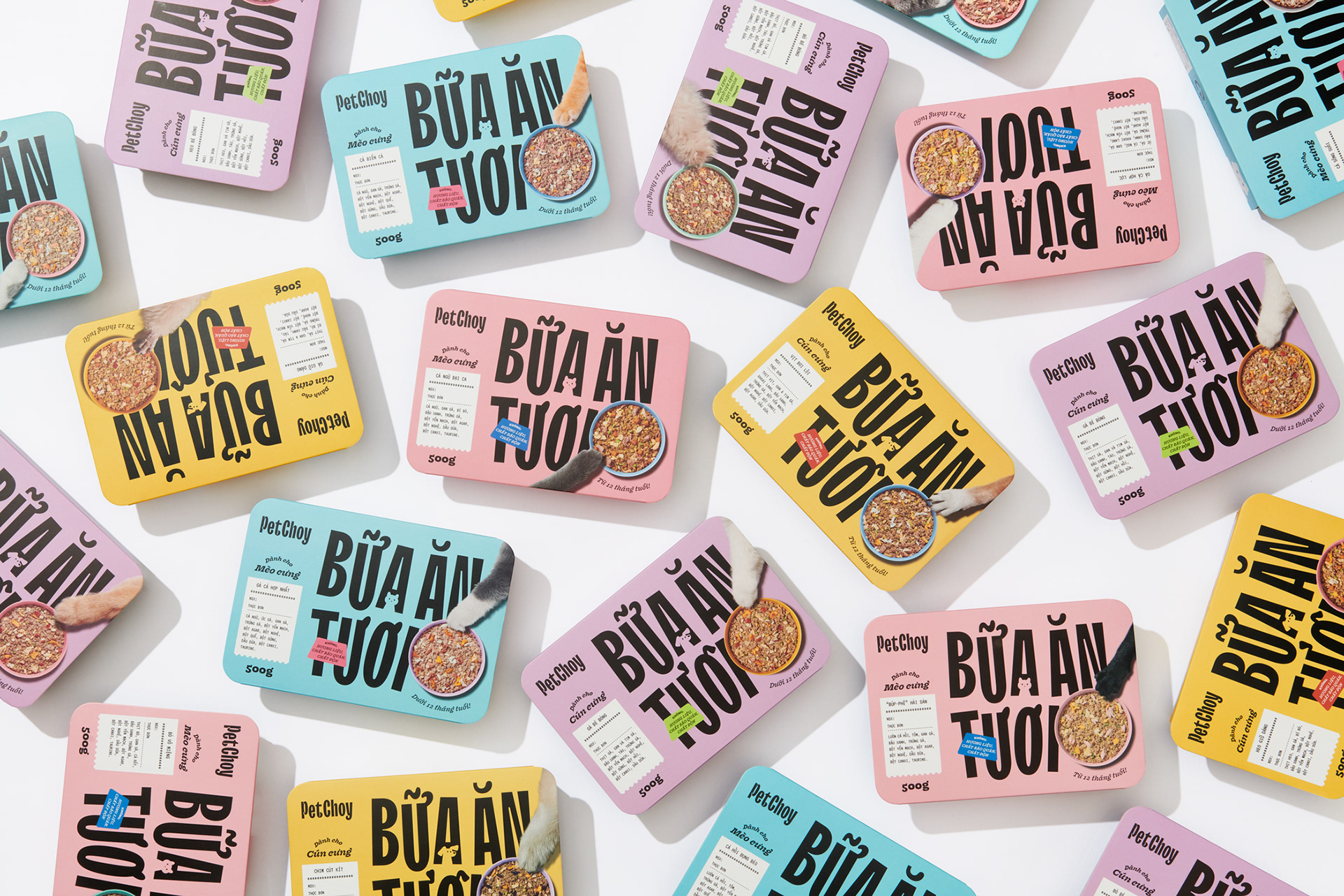 Создание кастомной версии TT Trailers с pet-friendly диакритикой