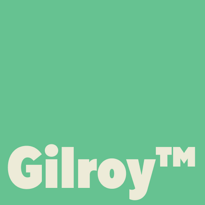Шрифты похожие на Gilroy™