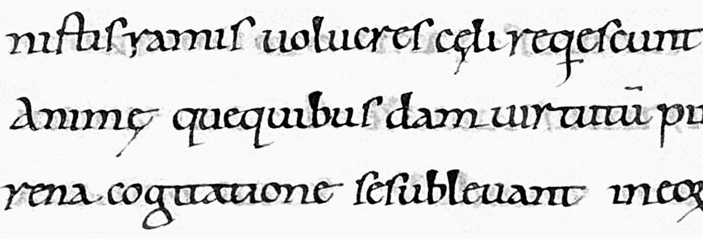 УниверситеТТ: Урок 1. Классификация шрифтов