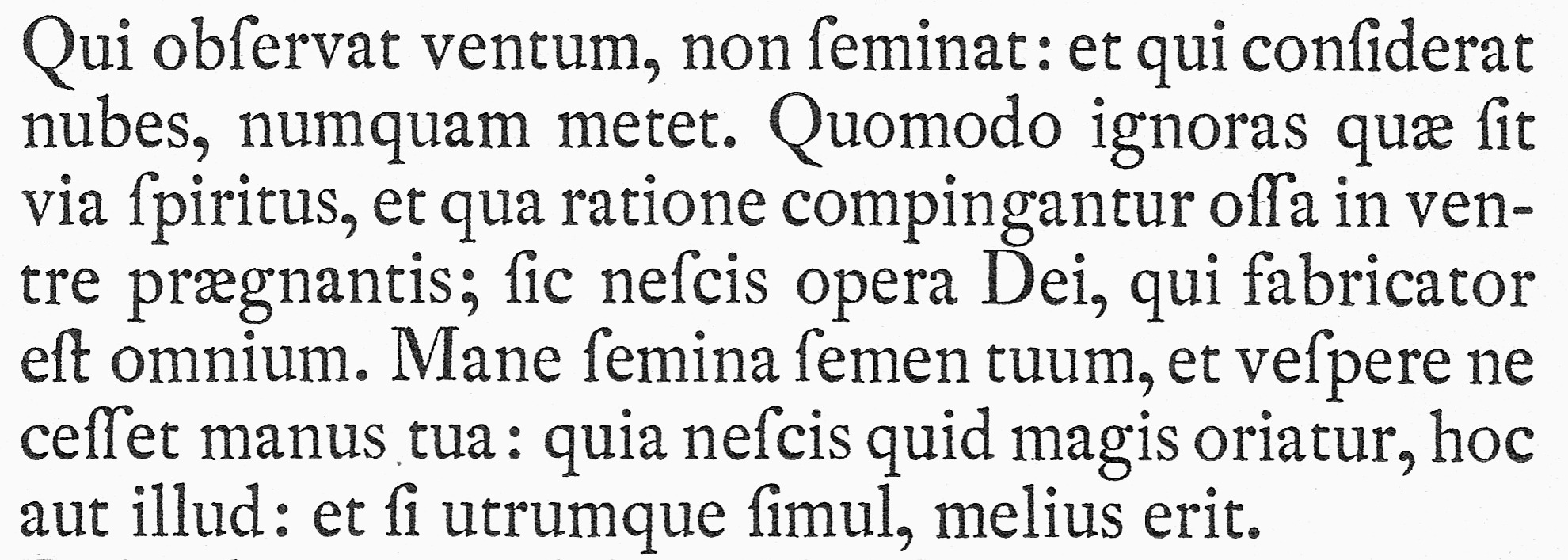 УниверситеТТ: Урок 1. Классификация шрифтов