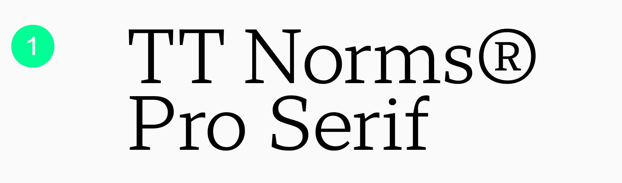 Шрифт tt norms pro. TT Norms Pro, студия TYPETYPE. TT Norms Medium. TT Norms.