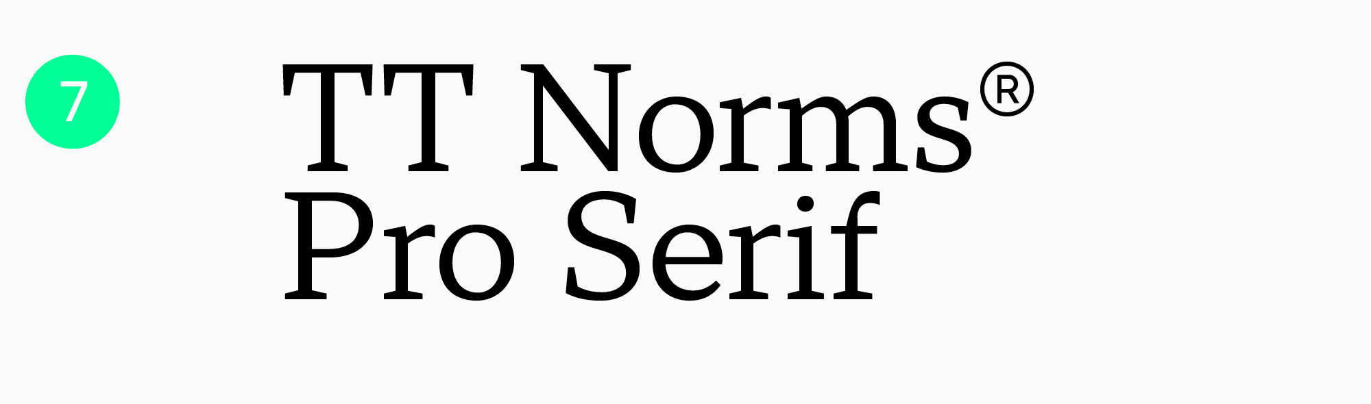 топ шрифтов для чтения
TT Norms Pro Serif
