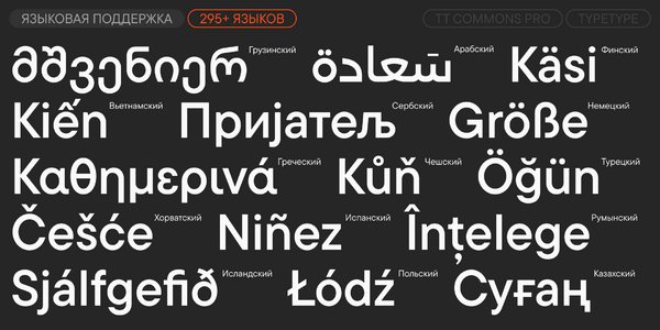 TT Commons™ Pro