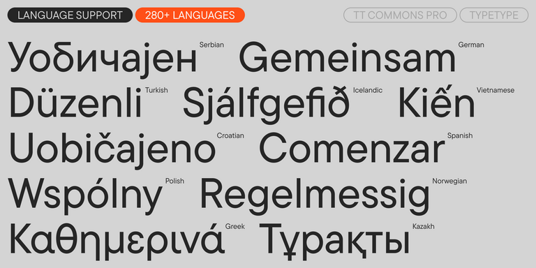 TT Commons™ Pro