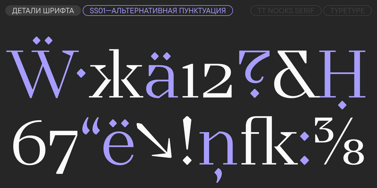 TT Nooks Serif