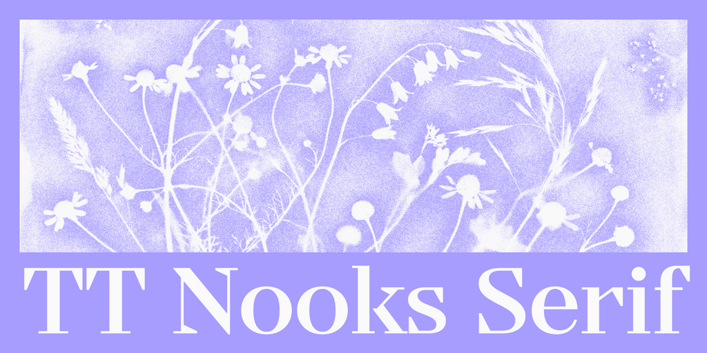 TT Nooks Serif