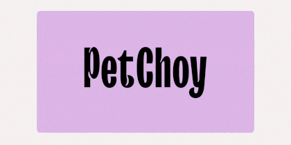 Создание кастомной версии TT Trailers с pet-friendly диакритикой